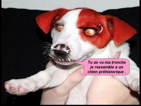 Chien préhistorique 
