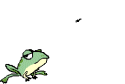 Grenouille