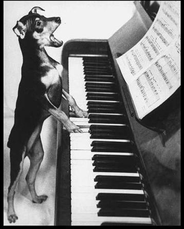 Pianiste