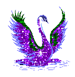 Cygne