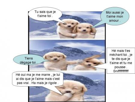 Petits chiens