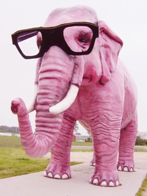 Eléphant rose