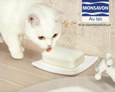 Monsavon
