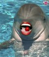 Dauphin