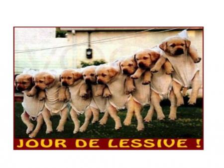 Lessive