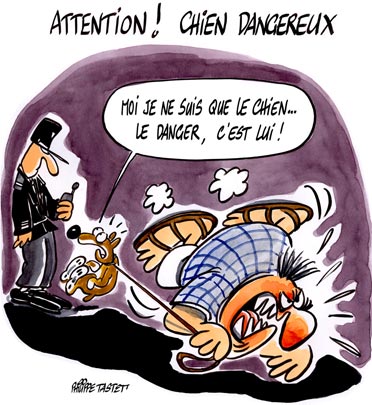 Chien