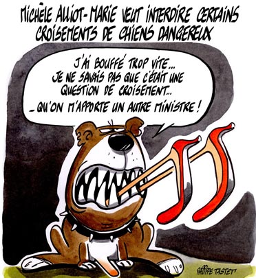 Chien croisé