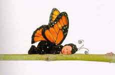 Bébé papillon