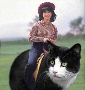 Chat géant